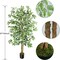 5ft Ficus Tree Artificial, Tall Fake Tree with Natural Trunk Faux Trees Indoor Silk Ficus Leaves Artificial Trees for Home Decor Indoor Summer Office Living Room Outdoor (Included Dried Moss)